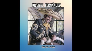 VICENTE FERNÁNDEZ  MIRARON LLORAR A UN HOMBRE LETRA [upl. by Odraner27]