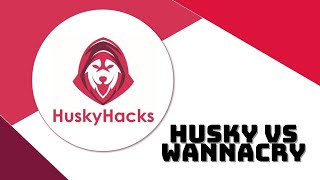 Husky Vs WannaCry A Crash Course in Malware RE  VetSecCon 2020 [upl. by Aisyle459]