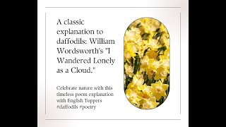 Daffodils By William Wordsworth  Explained [upl. by Nomelif]