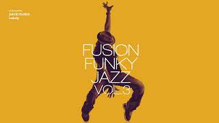 Best of Fusion Funky Jazz Volume 3 Jazz Fusion Jazz Funk GroovesRelaxing Vibes [upl. by Vena136]