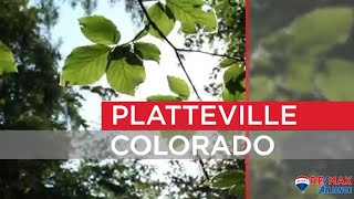 Platteville Community Demographics [upl. by Assila]