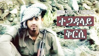 Eseyas Debesay  Tegadalay Qrsi  ተጋዳላይ ቅርሲ  Eritrean Music [upl. by Kessel]