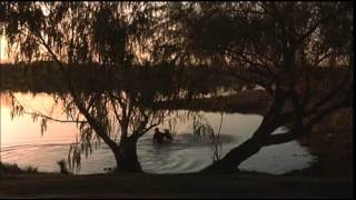 Whats Eating Gilbert Grape 1993 Official® Trailer HD [upl. by Bastien358]