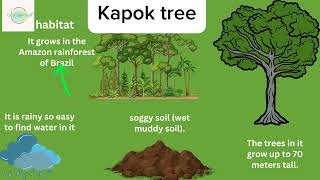 Science lesson 3 plant adaptation [upl. by Idoc]