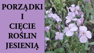 Jakich roślin NIE CIĄĆ jesienią❌  Za i przeciw sprzątaniu ogrodu na zimę 👩🏻‍🌾🌺😁 [upl. by Eilak]