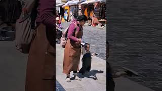 buddha tibet tibettours traveldestinations [upl. by Downall]