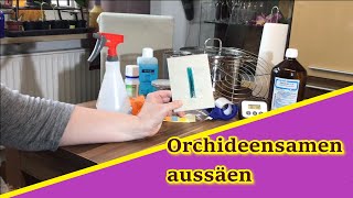 Orchideensamen aus einer geschlossenen Kapsel aussäen [upl. by Akinod]