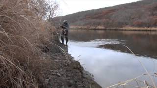 Grayling Fishing in Alaska [upl. by Eillat]