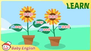 eep eed  Fun Learning  Baby English  Phonics [upl. by Divan]