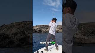 Calico Bass Fishing Lucky Craft [upl. by Dedra584]