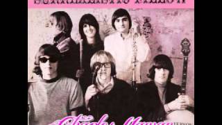 Jefferson Airplane  White Rabbit Mono Single Version With Lyrics [upl. by Carder]