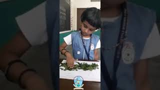 UKG craft activity making mountain using pieces of leaves [upl. by Leonelle]