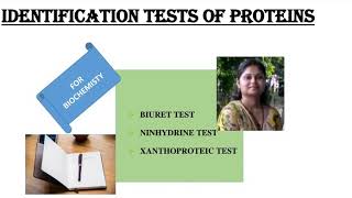 Identification tests for proteinsBiuret testNinhydrin testXanthoproteic testShiv Bhadra Singh [upl. by Cully406]