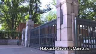 Hokkaido University Course [upl. by Aekerly166]