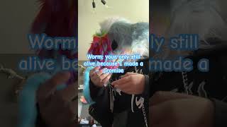 Worm got beef with Skyler furry cosplay wormonastring costume dinosaurmaskI’m over 13 YouTube [upl. by Mloc272]