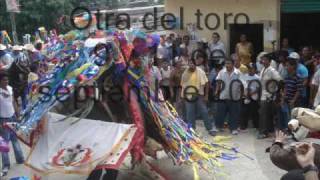 ometepec guerrero iverts [upl. by Bucher]