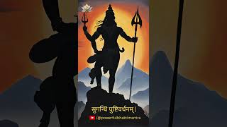 Most Powerful Mantra Of Lord Shiva  Maha Mrityunjaya Mantra powerfulmantra shorts [upl. by Farron]