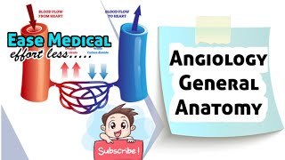 Angiology General Antomy Medical videos Ease Medical Easemedical [upl. by Amii]