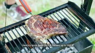 What temperature to grill steak on a gas grill [upl. by Aehr]