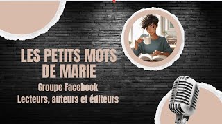 🎥 15 moyens de booster la promotion de votre livre sur les réseaux sociaux  📚  Podcast 4 [upl. by Jacky]