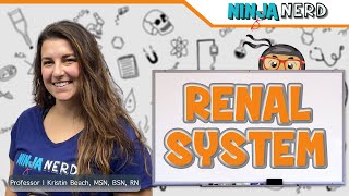 Renal System Structure amp Function [upl. by Iolenta722]