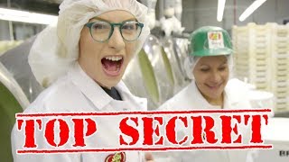 HOW BEAN BOOZLED IS MADE [upl. by Wynn]