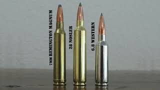 6 8 Western vs 7mm Rem Mag vs 28 Nosler Review And Comparison [upl. by Htilil]