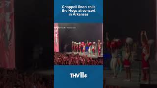 Chappell Roan calls the Hogs at concert in Arkansas [upl. by Eivad976]