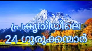 പ്രകൃതിയിലെ 24 ഗുരുക്കന്മാർ [upl. by Shien]