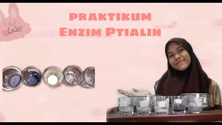 Praktikum Enzim Ptyalin  Pengaruh Suhu Pada Aktivitas Enzim Ptialin [upl. by Atekahs253]