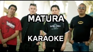 Farben Lehre  Matura karaokeinstrumental  Polinstrumentalista [upl. by Bidget]