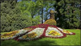 Mainau island Germany the island of flowers is in top 10 places to visit [upl. by Nwahsuq815]