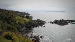 Creating a sanctuary Tiritiri Matangi  Roadside Stories [upl. by Alaj417]