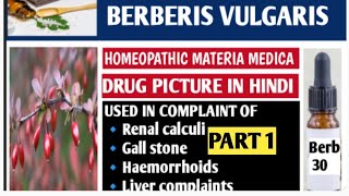 Berberis vulgaris homeopathic medicinehomeopathic materia Medica Berberis vulgaris 30 200 Part 1 [upl. by Ainolloppa]