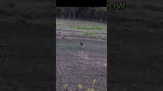 My first deer with a doe deerhunting bowhunting explorethebeautyofnature [upl. by Hosea]