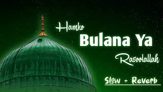 World Famous Naat Humko Bulana Ya Rasool Allah  Mohammad Zaid Ali [upl. by Donelu494]