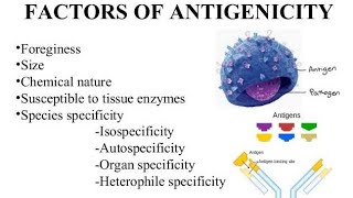 Antigenicity factors [upl. by Aierdna969]