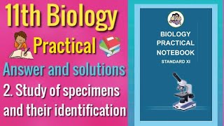 Experiment No2 Study of specimens and their Identification Class 11th Biology Practical Answers [upl. by Dajma]