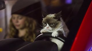 Grumpy Cats Worst Christmas Ever Starring Aubrey Plaza Movie Review [upl. by Nate766]