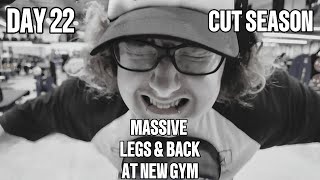 The Cut  Day 22 New Gym New Gains [upl. by Margareta]