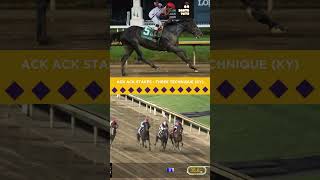 2024 Ack Ack Stakes  Three Technique KY [upl. by Guillema]