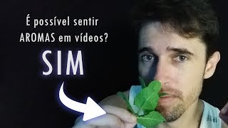 NOVO Gatilho de ASMR que vai te provocar boas sensações SENTIR CHEIRO Faça o teste [upl. by Maiocco]