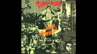 Terrorizer  Condemned System Official Audio [upl. by Bil]