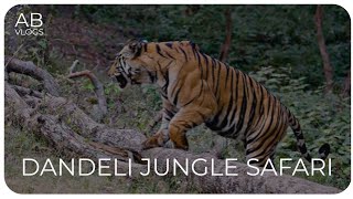 Dandeli Jungle Safari  Full info  Kali tiger reserve  AB vlogs [upl. by Marlo]