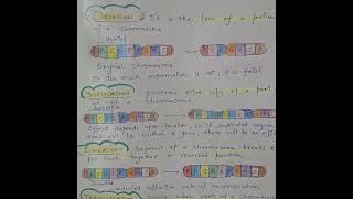 The Wild World of Chromosomal Mutations [upl. by Weig]