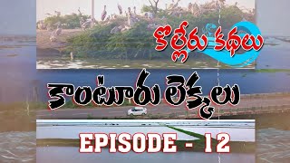 కొల్లేరు కాంటూరు లెక్కలు [upl. by Koerner279]