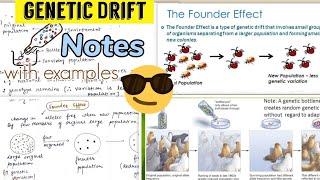 Genetic Drift  Bottleneck Effect Founders Effect Notes 😎😎 [upl. by Duncan698]