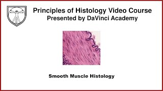 Smooth Muscle Histology Muscle Histology Part 4 of 4 [upl. by Harvison7]