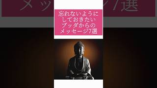 【何度でも見直したい】忘れないようにしておきたいブッダからのメッセージ7選モチベーション 人生を変える言葉 良い言葉 暮らし名言 [upl. by Appel943]