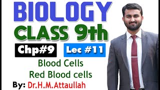 Blood Cells  Red blood cells  erythrocytes  Chapter 9  9th class Biology  Lec 11 [upl. by Anah]